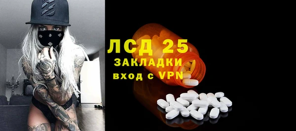 сатива Липки