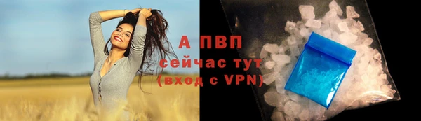 сатива Липки