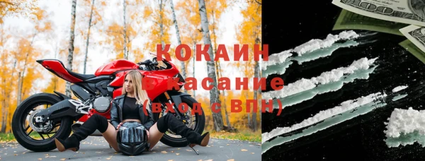 сатива Липки