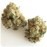 Шишки "White Widow"  (Белая вдова)  Гидропоника -  Бошка VHQ в Липках